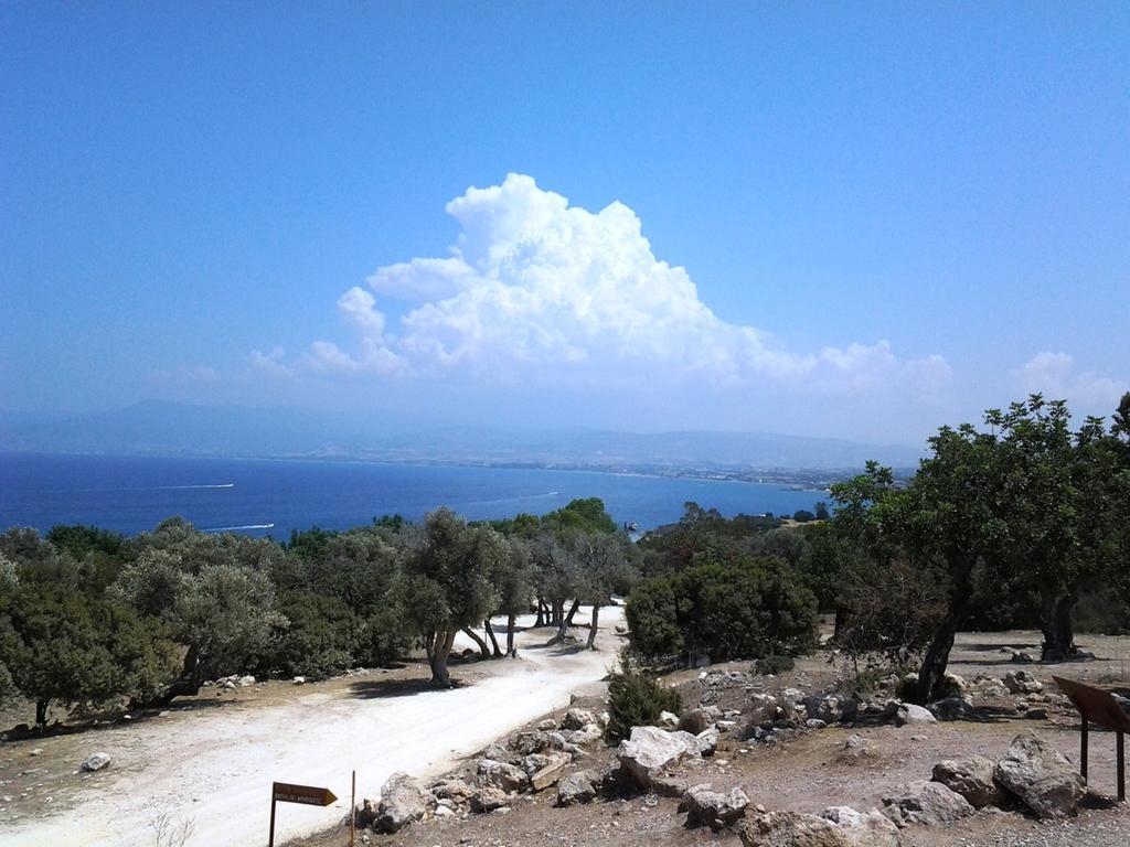 Peyia Pearl Ivy'S Studio Εξωτερικό φωτογραφία